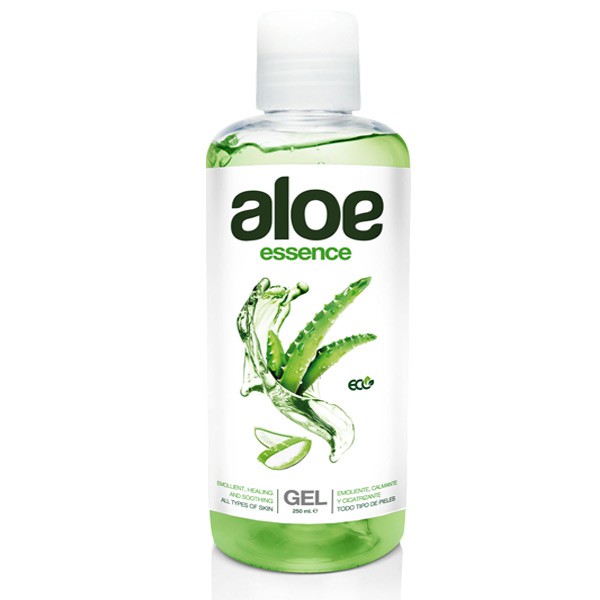 aloe vera pflanze kaufen wo Aloë Vera Pflanzen Set Ø10,5cm 40cm Zimmerpflanze kaufen main image 0