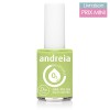 Vernis à ongles Andreia B04 Vert Pastel