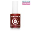 Vernis à ongles Andreia B12 Brique