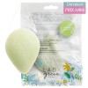 Konjac Facial Sponge - Lady Green