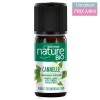 Organic Cinnamon Oil Essential - Boutique Nature