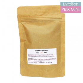 Poudre ortie 50g - Curae