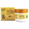 Argan oil and aloe vera face mask