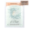 Coloration végétale Blond Fraise - Phitofilos