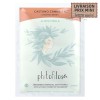 Cinnamon Brown plant hair coloring - Phitofilos