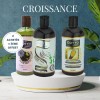 Cure croissance : Nigelle + Prêle + Kératine