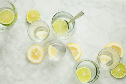Rondelles de Citron