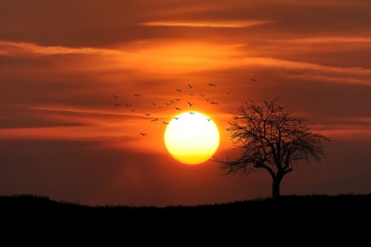 Soleil pour éclaircir les cheveux