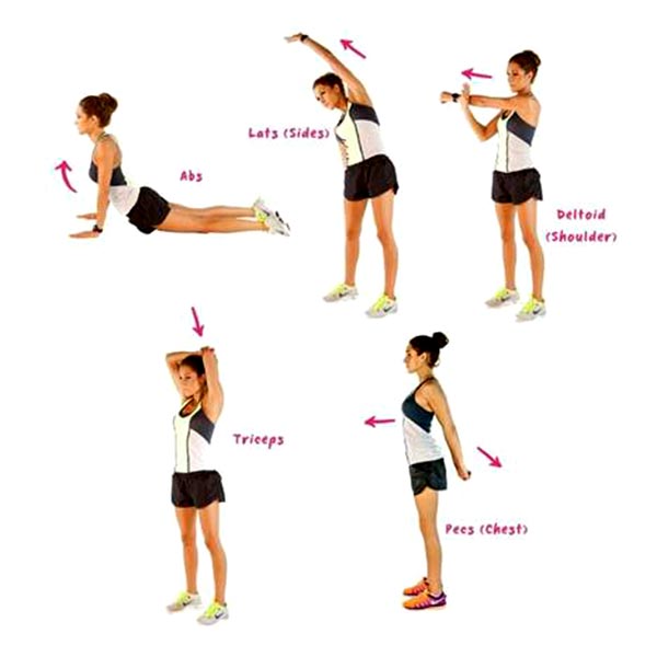 fitness stretching etirements haut du corps